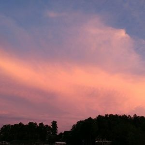 Meet your Posher, Jane